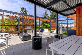 Rooftop bbq
